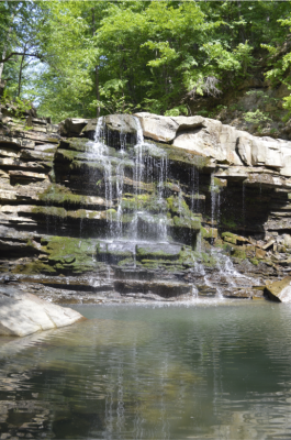 _DSC0713.png (914.11 КБ, 24686 просмотров) _DSC0713.png