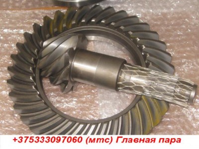 Главная пара 3.jpg