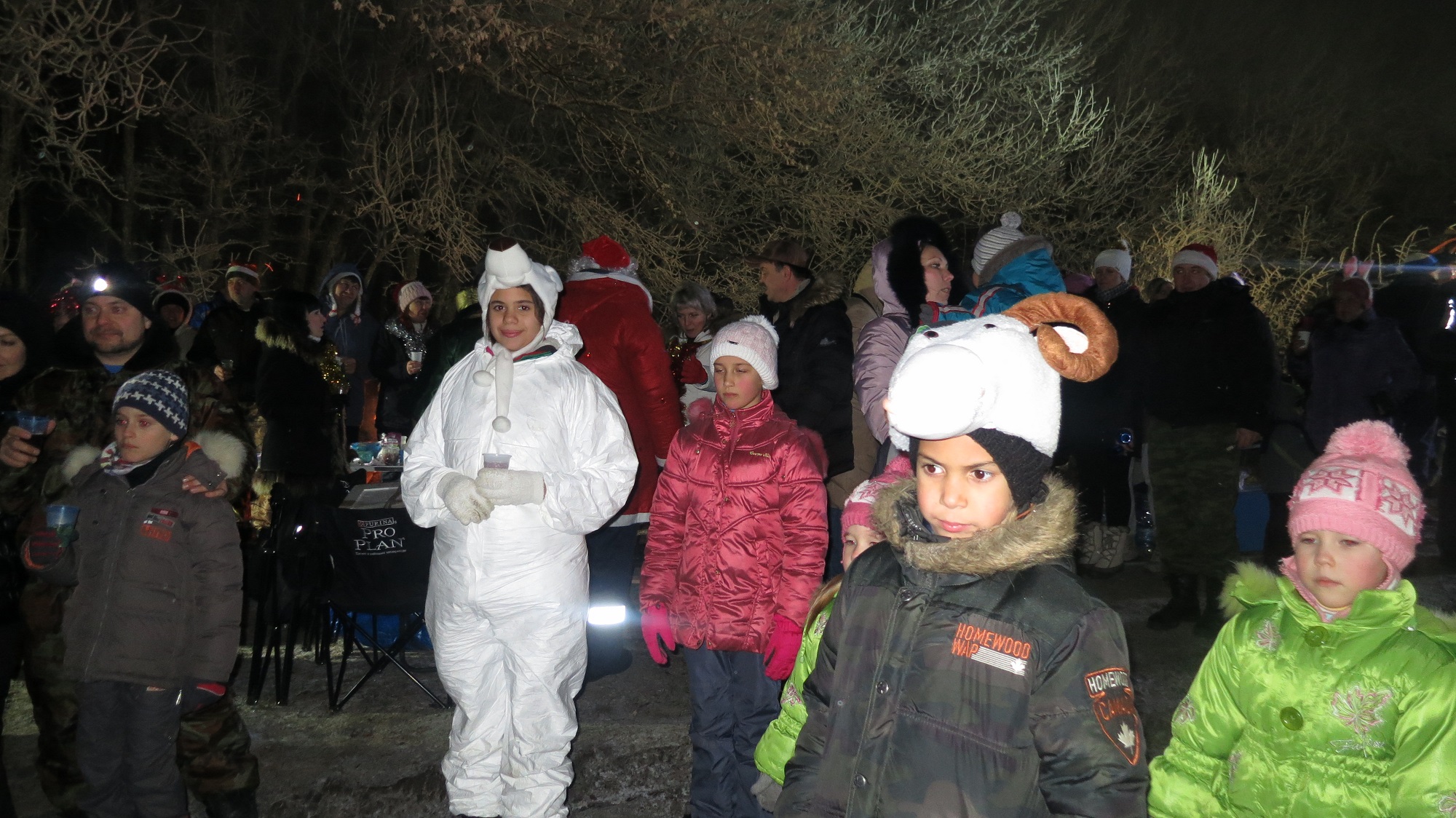 Год Овцы будет серьезным.JPG (746.15 КБ, 7303 просмотра) Год Овцы будет серьезным.JPG