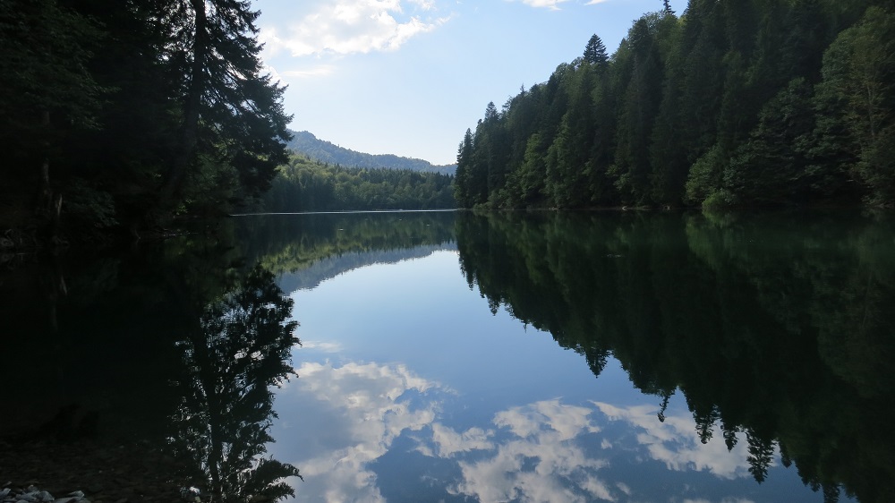 Изображение 204.jpg