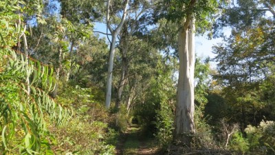 Изображение 336.jpg