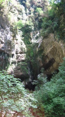 Пасть дракона.jpg