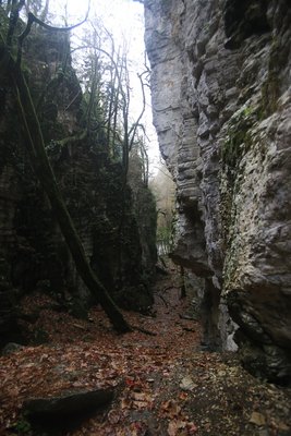 каньон Сухой.jpg