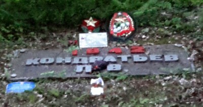 2015-05-13 09.48.00.jpg