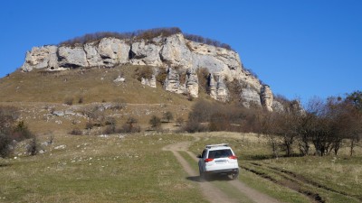 DSC05601 (Large).JPG