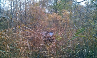 IMG-20141007-WA002.jpg (344.75 КБ, 4174 просмотра) IMG-20141007-WA002.jpg