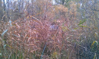 IMG-20141007-WA003.jpg (255.6 КБ, 4162 просмотра) IMG-20141007-WA003.jpg