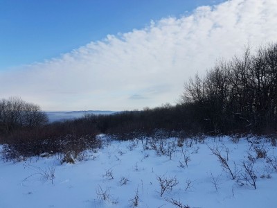 IMG-20161224-WA0025.jpg (186.42 КБ, 7780 просмотров) IMG-20161224-WA0025.jpg