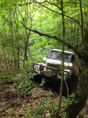 IMG_1700.jpg (60.13 КБ, 13720 просмотров) IMG_1700.jpg