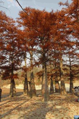 IMG_5052.jpg (999.13 КБ, 8580 просмотров) IMG_5052.jpg