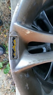 WhatsApp Image 2016-12-06 at 14.13.35 (1).jpeg