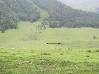 _5.jpg (36.64 КБ, 6878 просмотров) _5.jpg