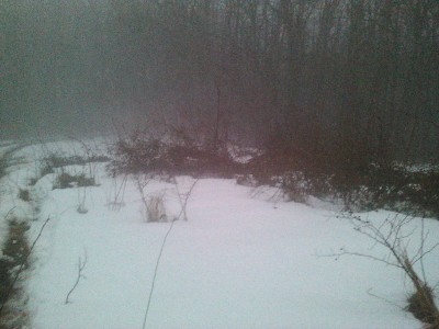 image.jpeg (527.8 КБ, 3742 просмотра) image.jpeg