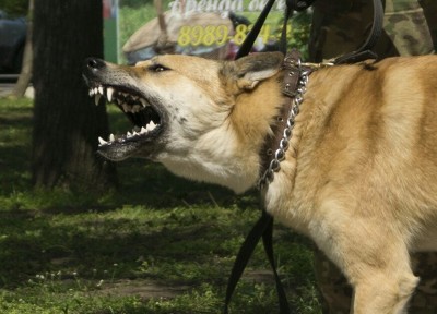 image.jpeg (34.45 КБ, 4808 просмотров) image.jpeg