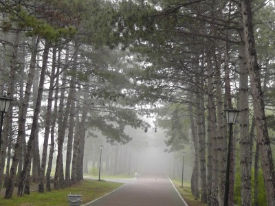 i4jhRsWtwBI.jpg (45.74 КБ, 74099 просмотров) i4jhRsWtwBI.jpg