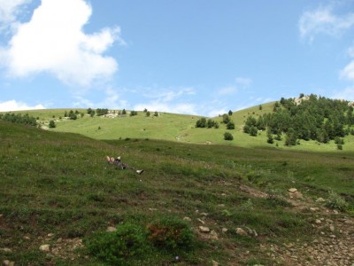 _1.jpg (32.86 КБ, 7122 просмотра) _1.jpg