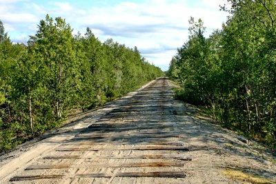 1_(silver dog).jpg (54.59 КБ, 5706 просмотров) 1_(silver dog).jpg