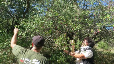 Изображение 085.jpg (454.23 КБ, 5500 просмотров) Изображение 085.jpg