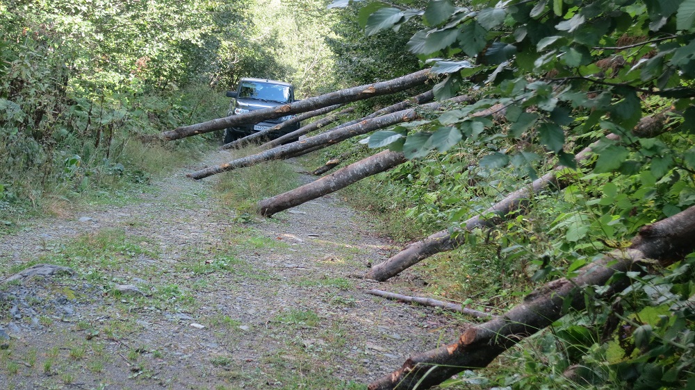 Изображение 135.jpg (371.06 КБ, 5398 просмотров) Изображение 135.jpg