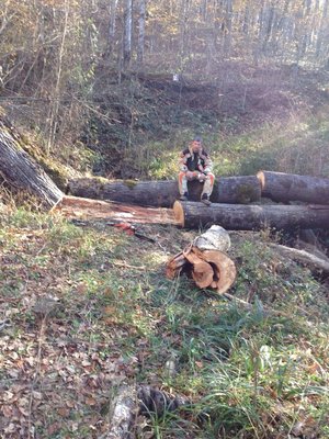 image-09-11-14-12-02.jpeg (49.12 КБ, 62736 просмотров) image-09-11-14-12-02.jpeg