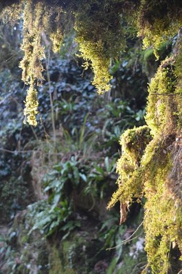 Вокруг.jpg (103.11 КБ, 8186 просмотров) Вокруг.jpg