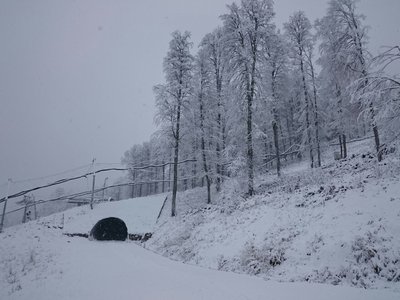 Attachment-1.jpeg (205.41 КБ, 7609 просмотров) Attachment-1.jpeg