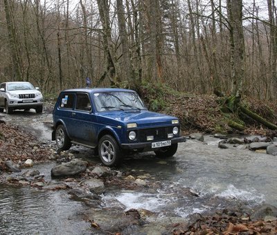 сочинский Барс.jpg (79.14 КБ, 7470 просмотров) сочинский Барс.jpg