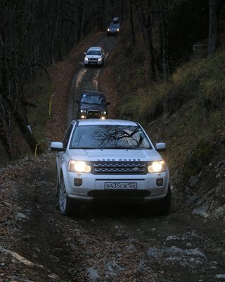 Лариса.jpg (52.92 КБ, 7471 просмотр) Лариса.jpg