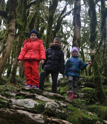 У Берендея.jpg (77.09 КБ, 7471 просмотр) У Берендея.jpg