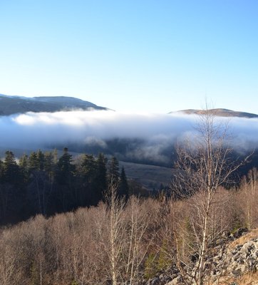 Баловала.jpg (159.08 КБ, 7118 просмотров) Баловала.jpg