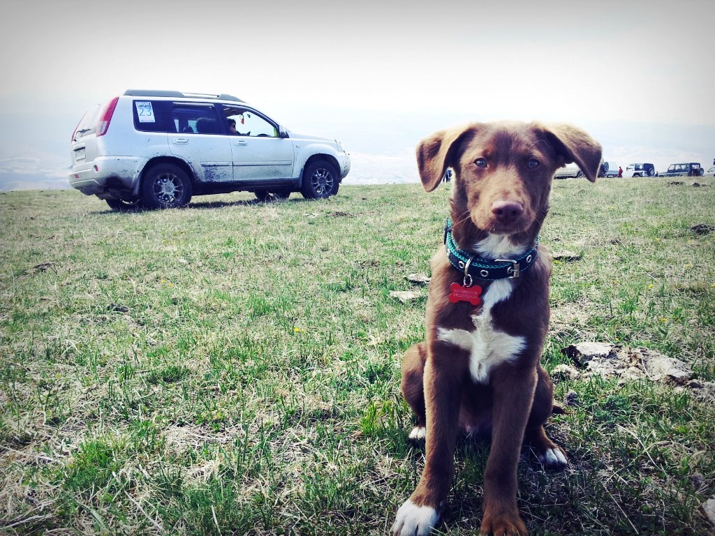 ODvx7PeEGVg.jpg (283.18 КБ, 11015 просмотров) ODvx7PeEGVg.jpg