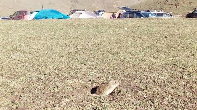 Д.ф.-4.jpg (339.86 КБ, 6083 просмотра) Д.ф.-4.jpg