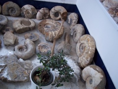 100_5421.jpg (36.57 КБ, 18155 просмотров) 100_5421.jpg