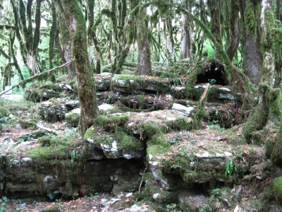 Сказочный лес.jpg (498.41 КБ, 8751 просмотр) Сказочный лес.jpg