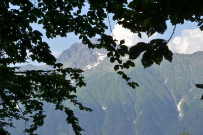 DSC_00221.jpg (42.47 КБ, 8330 просмотров) DSC_00221.jpg