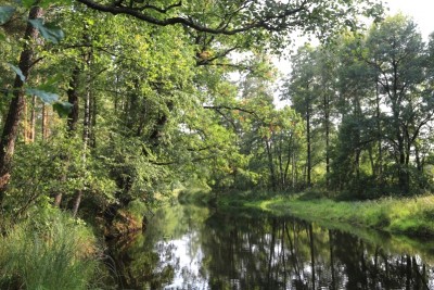 img_8798b.jpg (417.81 КБ, 111103 просмотра) img_8798b.jpg