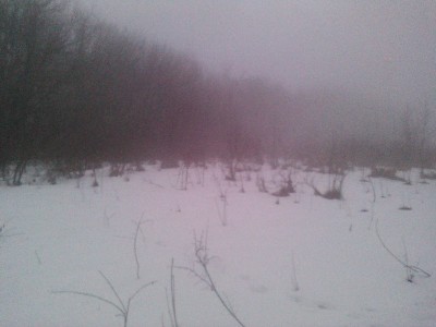 image.jpeg (361.66 КБ, 3666 просмотров) image.jpeg