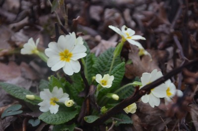 8.jpg (28.75 КБ, 129319 просмотров) 8.jpg