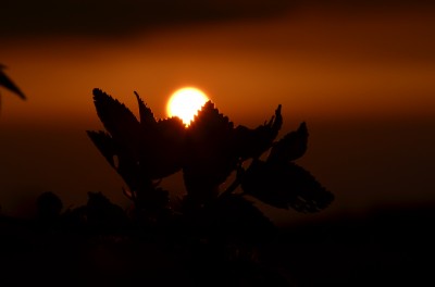 утро.jpg (9.6 КБ, 4206 просмотров) утро.jpg