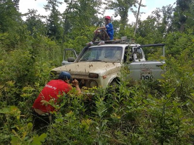 image.jpeg (59.49 КБ, 6656 просмотров) image.jpeg