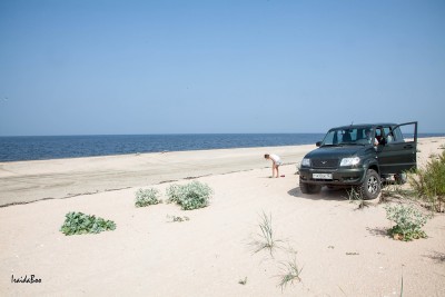 IMG_4161мл.jpg (20.04 КБ, 2947 просмотров) IMG_4161мл.jpg