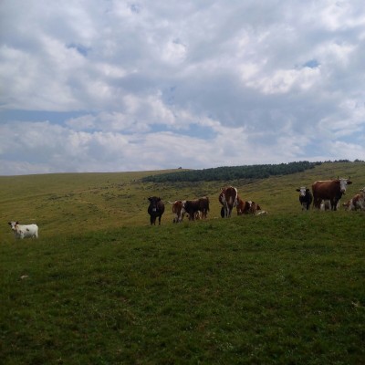 IMG_20160810_134259-1200x1200.jpg (275.42 КБ, 10057 просмотров) IMG_20160810_134259-1200x1200.jpg