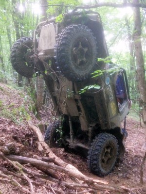 IMG_3011_44um.jpg (47 КБ, 7795 просмотров) IMG_3011_44um.jpg