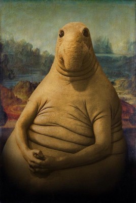 fc6074b23f1a21b8024b3002db7a1bfb__980x.jpg (27.04 КБ, 6171 просмотр) fc6074b23f1a21b8024b3002db7a1bfb__980x.jpg