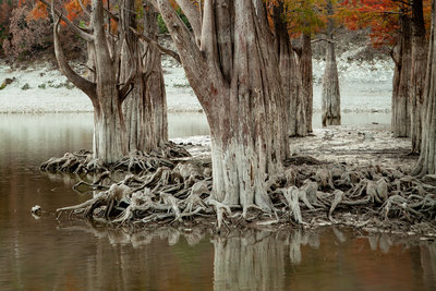 FgAAAgBfUeA-960.jpg (351.77 КБ, 96424 просмотра) FgAAAgBfUeA-960.jpg