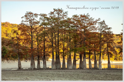 2yAAAgNvUeA-960.jpg (49.61 КБ, 96356 просмотров) 2yAAAgNvUeA-960.jpg