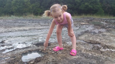 DSC_0790.jpg (241 КБ, 4995 просмотров) DSC_0790.jpg