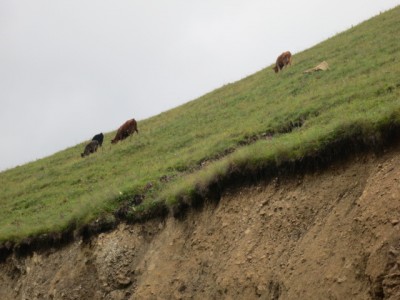 Изображение 081.jpg (30.06 КБ, 4244 просмотра) Изображение 081.jpg