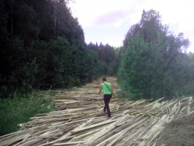 IMG_20130815_143850.jpg (35.87 КБ, 6310 просмотров) IMG_20130815_143850.jpg