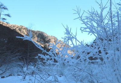 IMG_2251a.jpg (264.89 КБ, 10641 просмотр) IMG_2251a.jpg